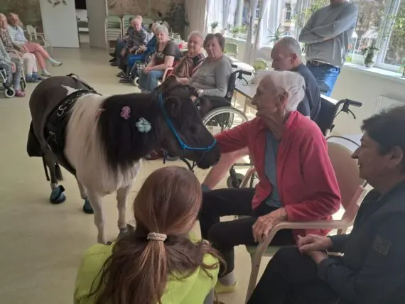 WhatsApp Image 2026-04-09 at 15.49.16