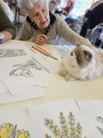 af96899e-1c09-4ff6-bf80-86979a4c24af