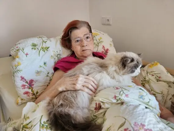 b68070f3-5c44-4ce7-bf4e-d7db501f6b03