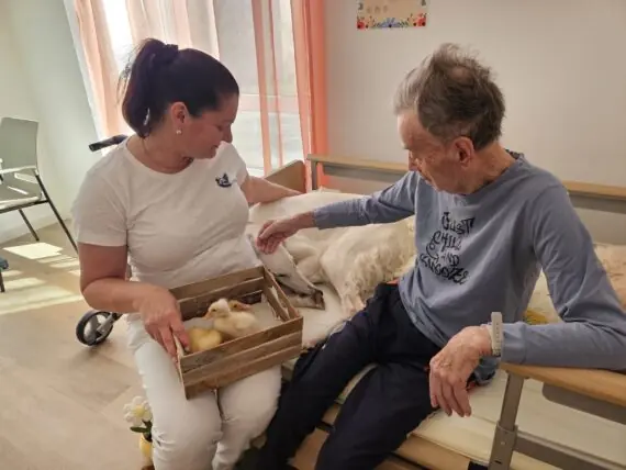 bfb67113-c6ce-44e6-b254-289f7bf31a63