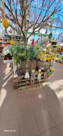 cdbd058e-c683-4aa9-86e4-9fa153cac7b1