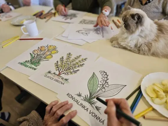 e51b0a9c-5d12-47d4-b330-ccba2ffd471b