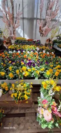 e83de436-8356-4dd5-8efb-87dc3688ca5d