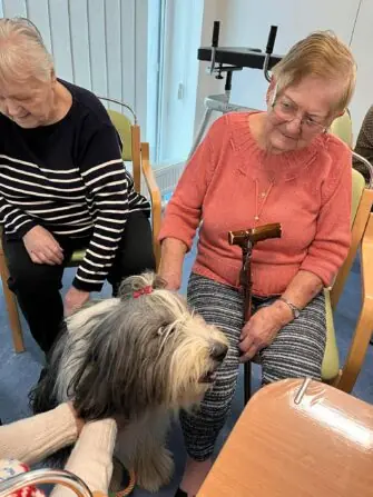 received_1571542394529894