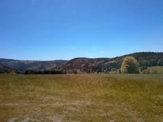 IMG-20260526-WA0035
