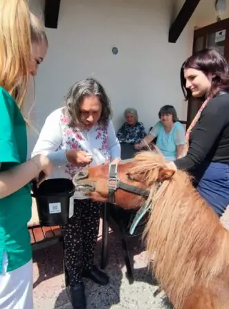 1000040491