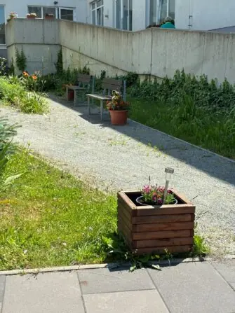 IMG-20260624-WA0004