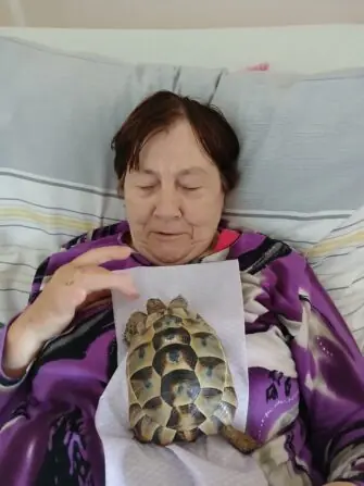 želvička (11)