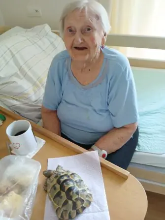 želvička (12)