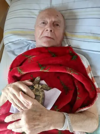želvička (13)