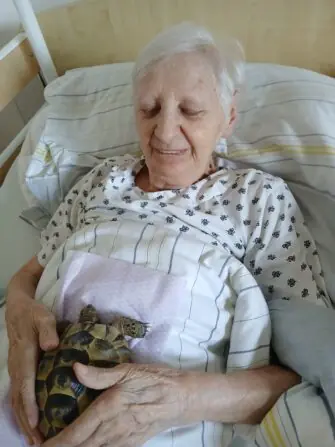 želvička (15)