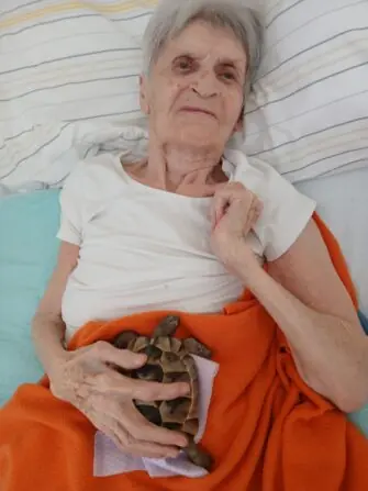 želvička (18)