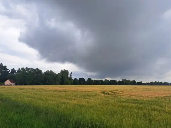 1000042260