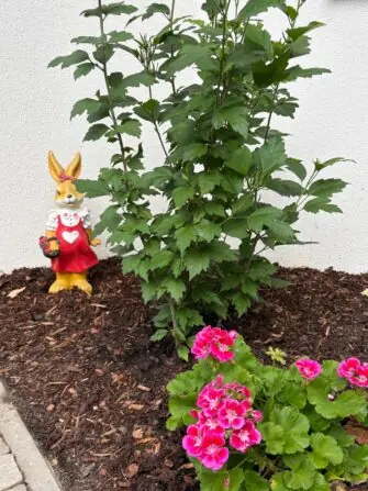IMG-20260702-WA0004