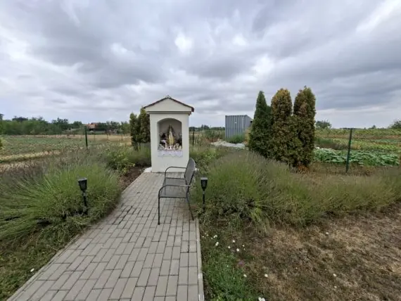 1000024522