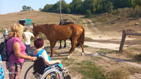 20260731_092418