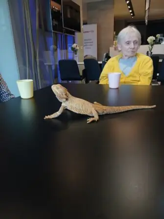 20260921_102942