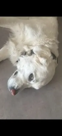 1512