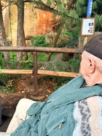 ZOO V